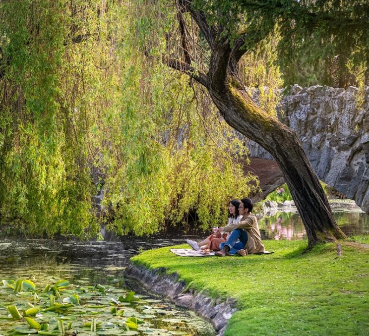 A couple enjoys a pond-side picnic in Beacon Hill Park in Victoria, BC