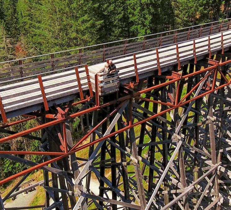 A couple takes in the view off of the Kinsol Trestle in the Cowichan Valley just outside of Victoria, BC