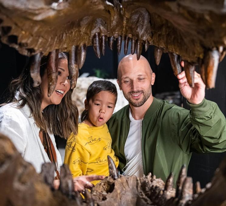 A family looks at a t-rex fossil at DinoLab Inc. in Victoria, BC