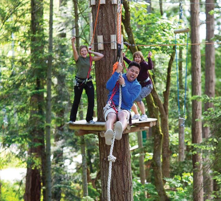 A person swings through the tree canopy at WildPlay Elements Park in Victoria, BC