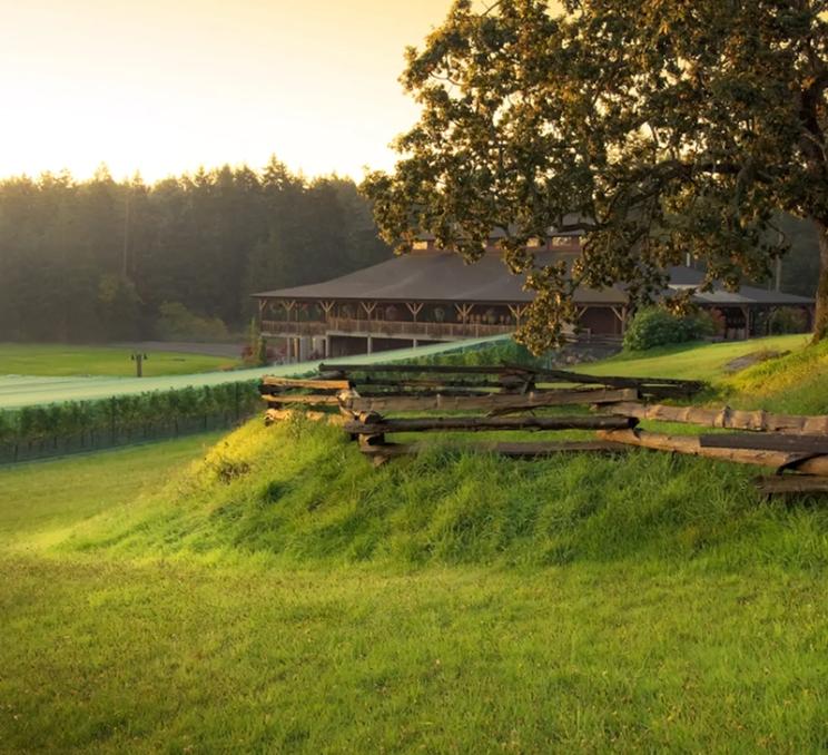 Rolling hills at Church & State Wines in Victoria, BC