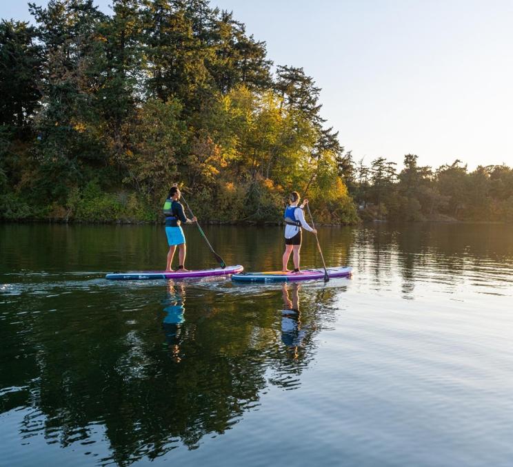 A couple paddleboards along the Gorge Waterway in Victoria, BC