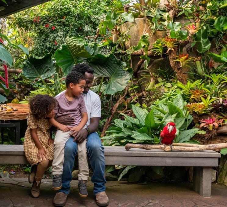 A family meets a parrot at the Victoria Butterfly Gardens in Victoria, BC