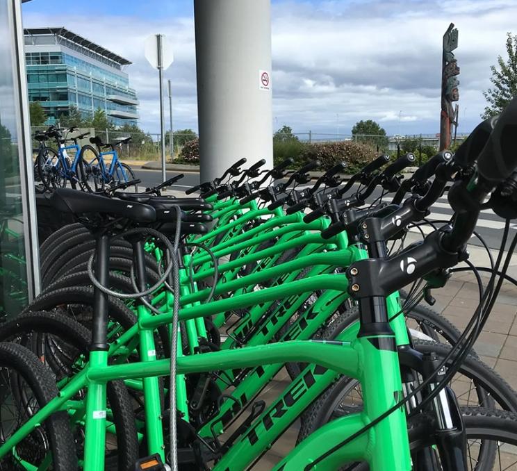 A row of bicycles outside Trek in Victoria, BC