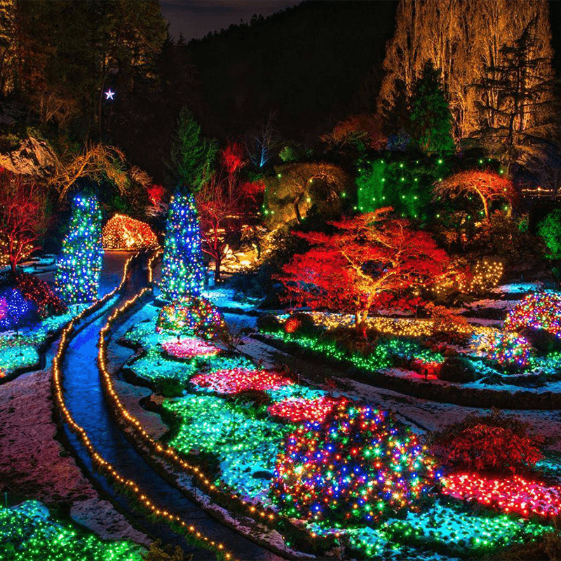 Festive Lights Illuminate the Manicured Grounds of the Butchart Gardens