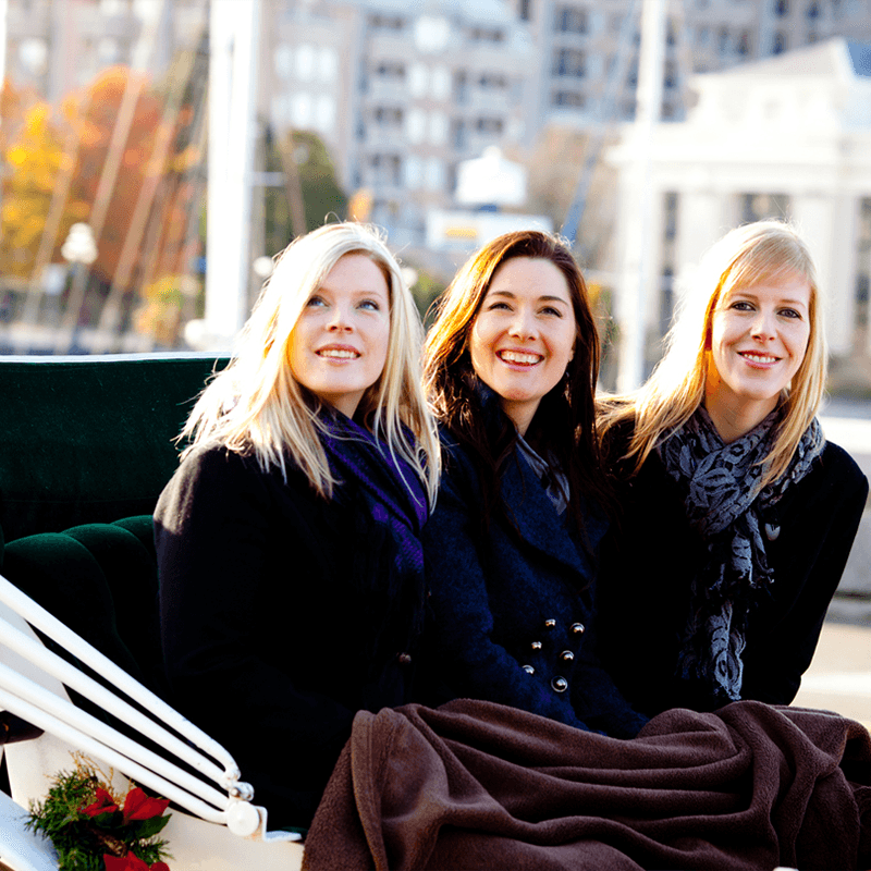 Women enjoying a holiday Horse Carriage ride