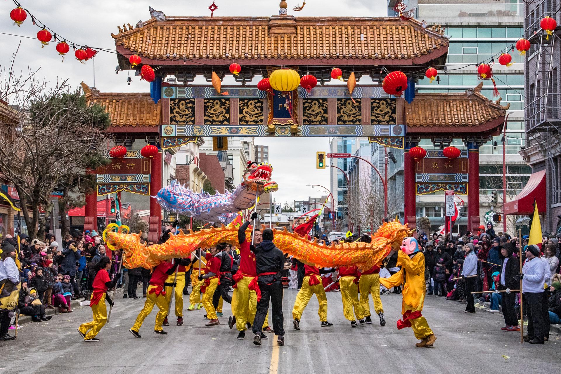 Yellow dragons and dancers perform through Victoria's Chinatown in front of the Gates of Harmonious Interest
