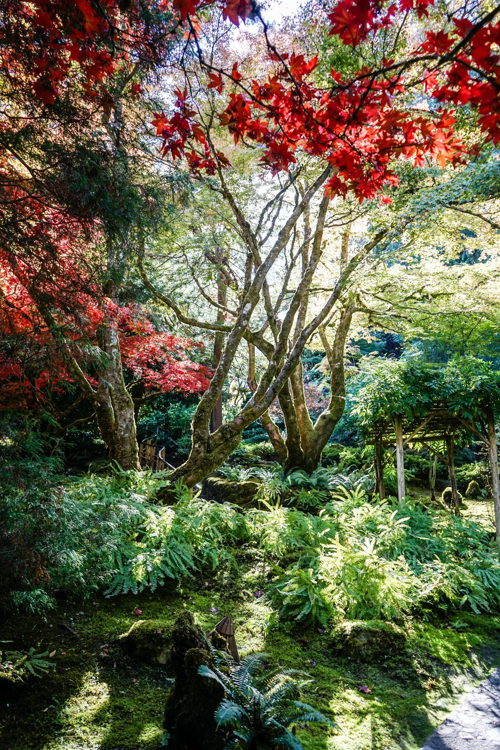 The Butchart Gardens