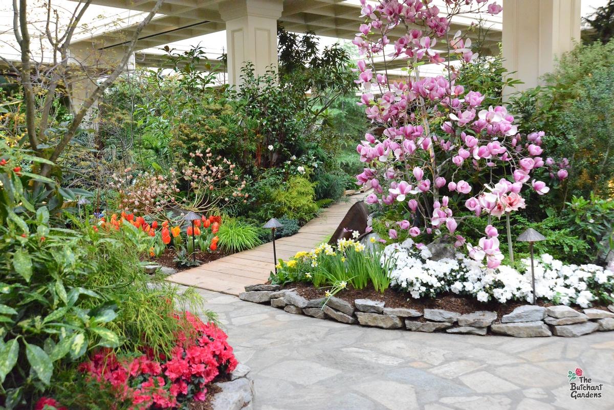 Spring Prelude at the Butchart Gardens in Victoria, BC 