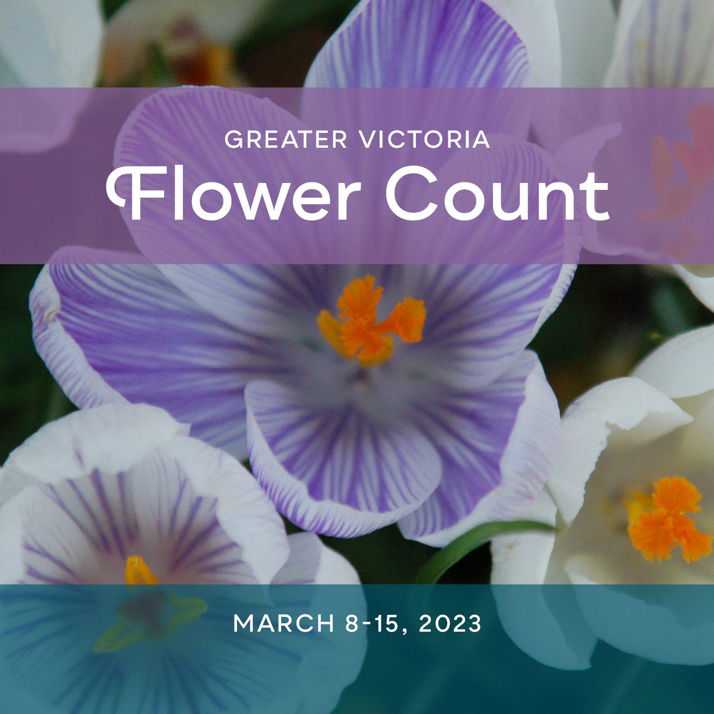 Greater Victoria Flower Count launch is in March