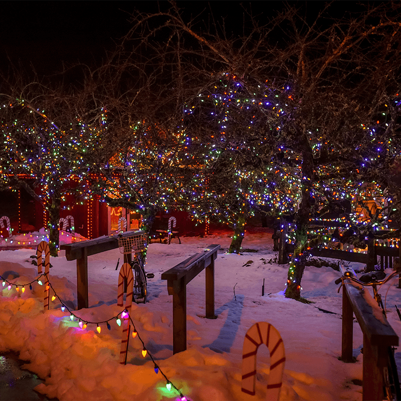 The lights at Merridale Cidery & Distillery on a snowy winter evening