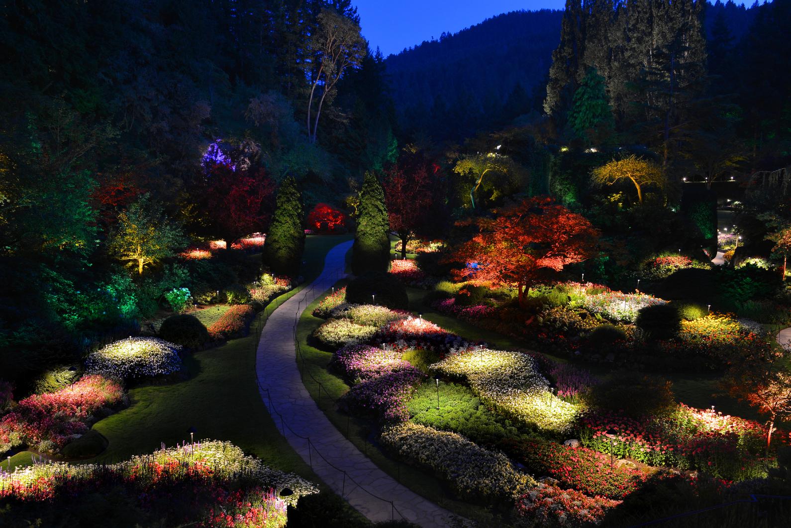 Night Illumination at The Butchart Gardens