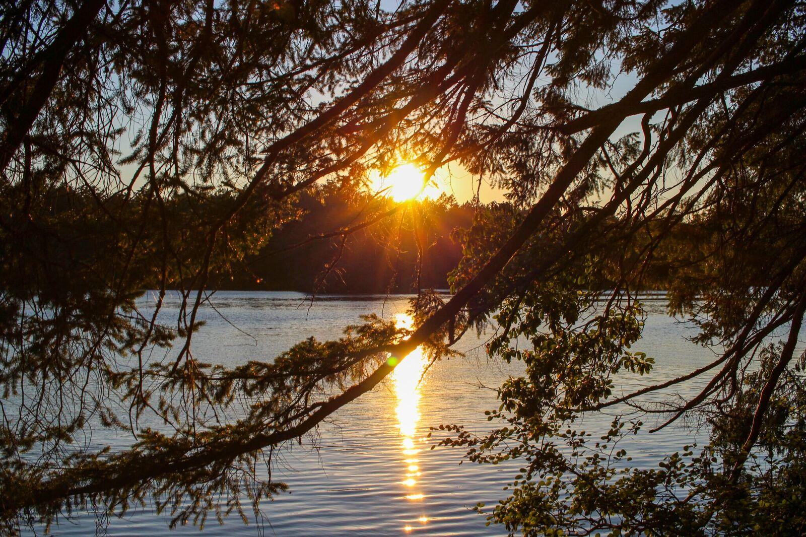 Thetis Lake Regional Park