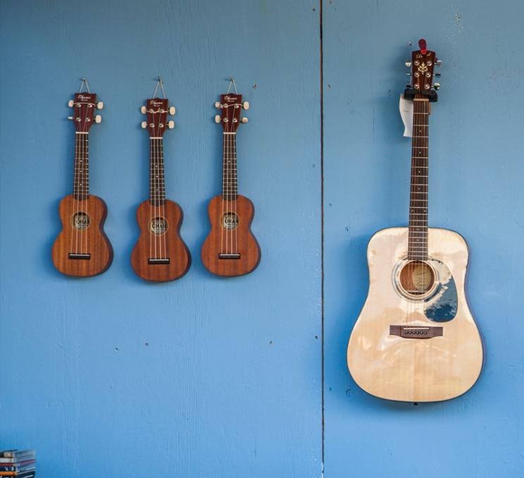 An assortment of guitars in Victoria, BC