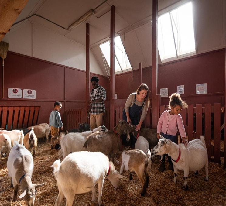 A young family meets the goats at Beacon Hill Children's Farm in Victoria, BC