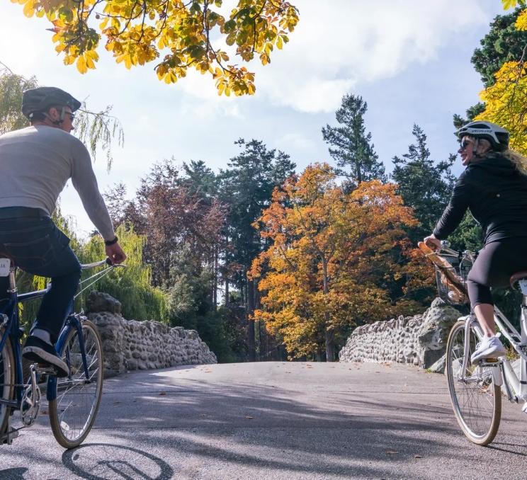 Two cyclists biking along a wide path with autumn trees overhead