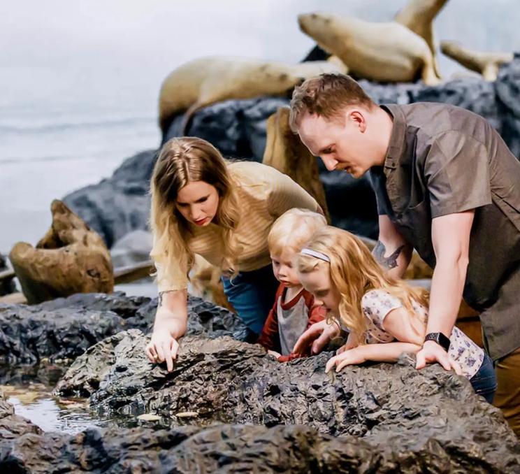 A family explores a tide pool at the Royal BC Museum in Victoria, BC