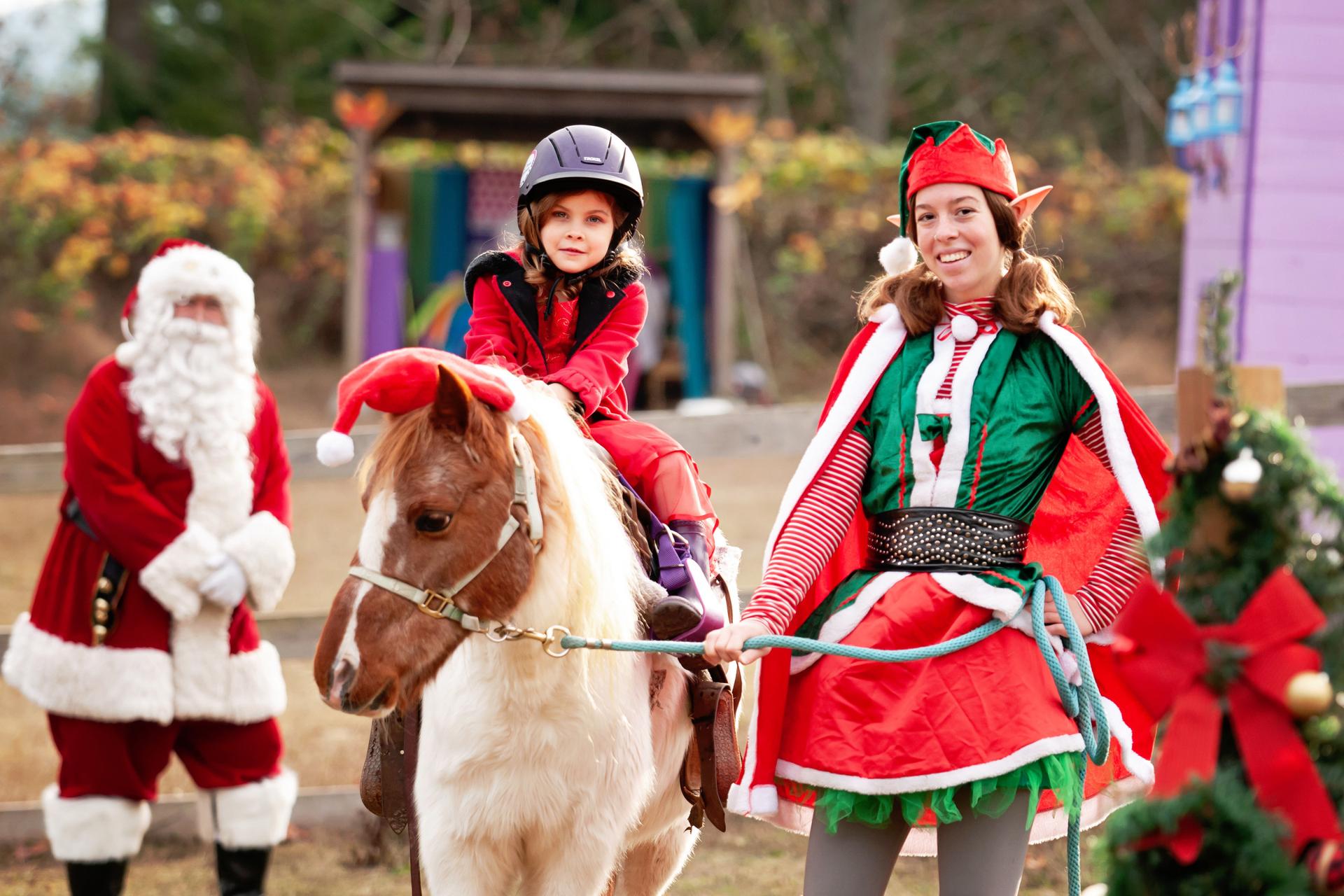 Personalized Santa visits and pony rides!