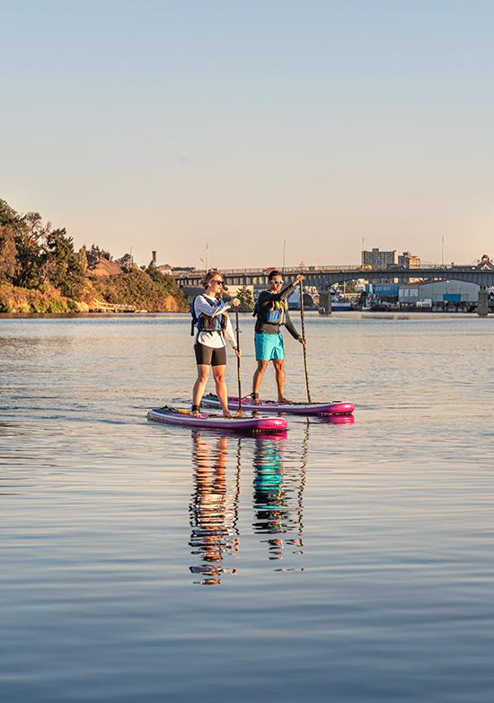 A couple paddleboards along Victoria's Upper Harbour