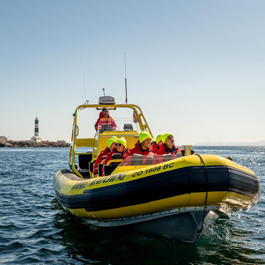 A whale watching tour explores Race Rocks Lighthouse in Victoria, BC