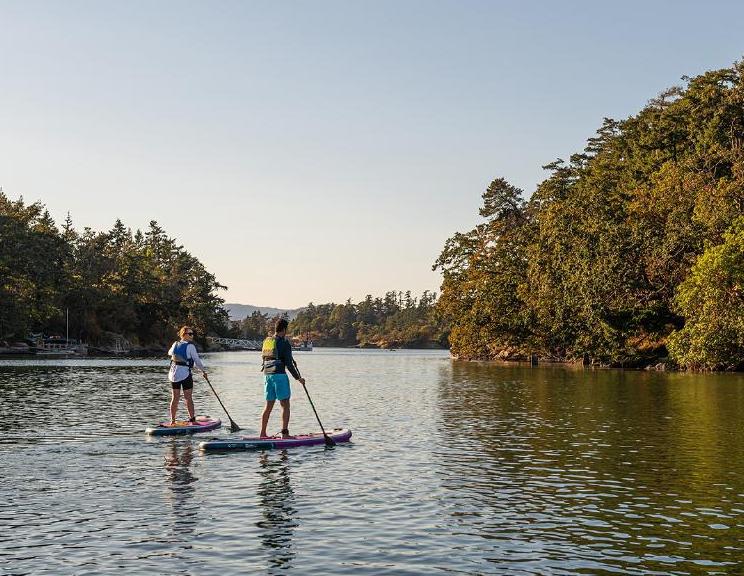 Two people paddleboarding at sunset