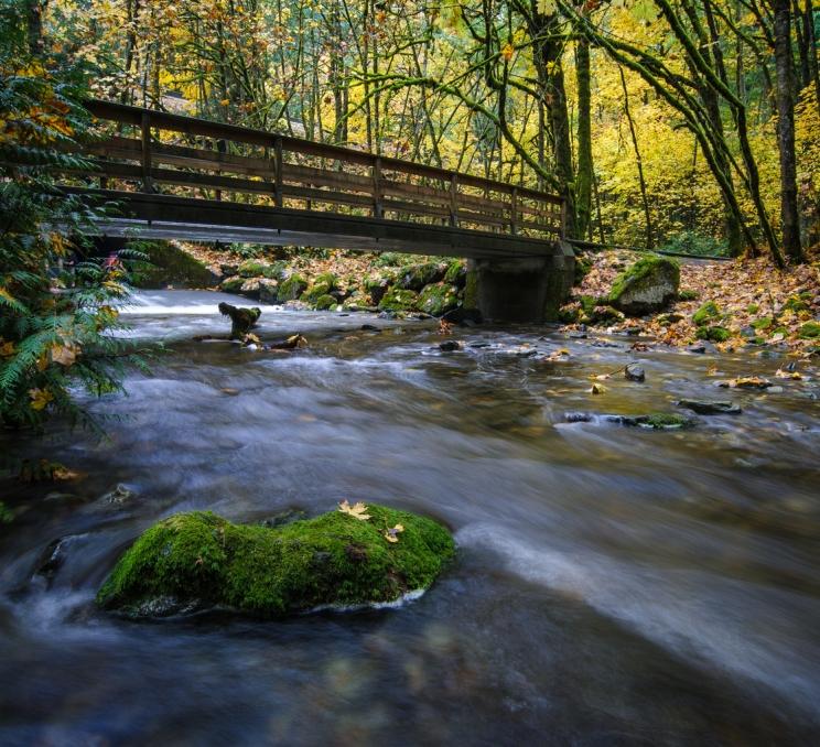 River at Goldstream Park