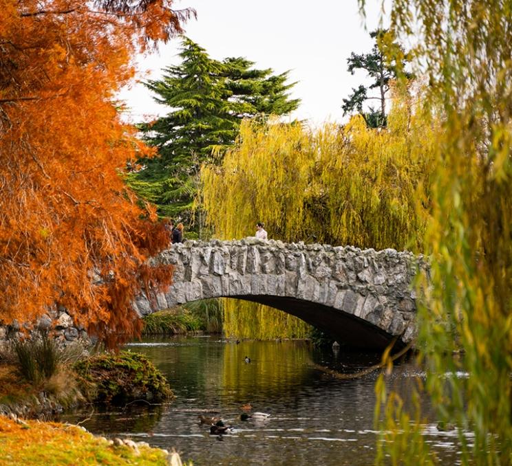 The colours of autumn surround the stone bridge at Beacon Hill Park in Victoria, BC