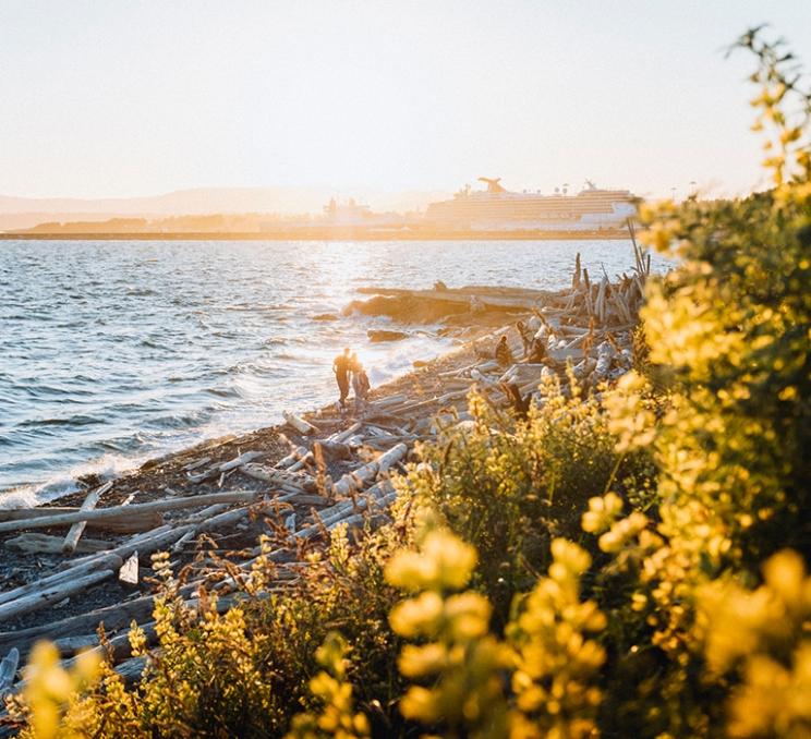 A couple walks along the beach at sunset below Dallas Road in Victoria, BC