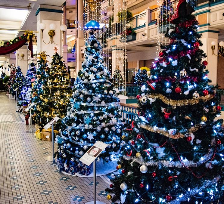 A display of Christmas trees at the annual Festival of Trees in Victoria, BC