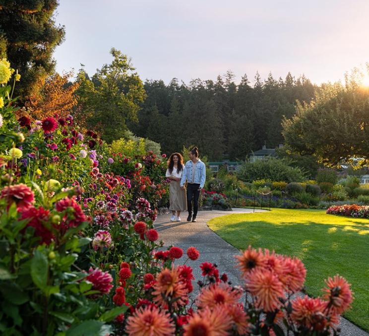 A couple wanders through The Butchart Gardens in Victoria, BC