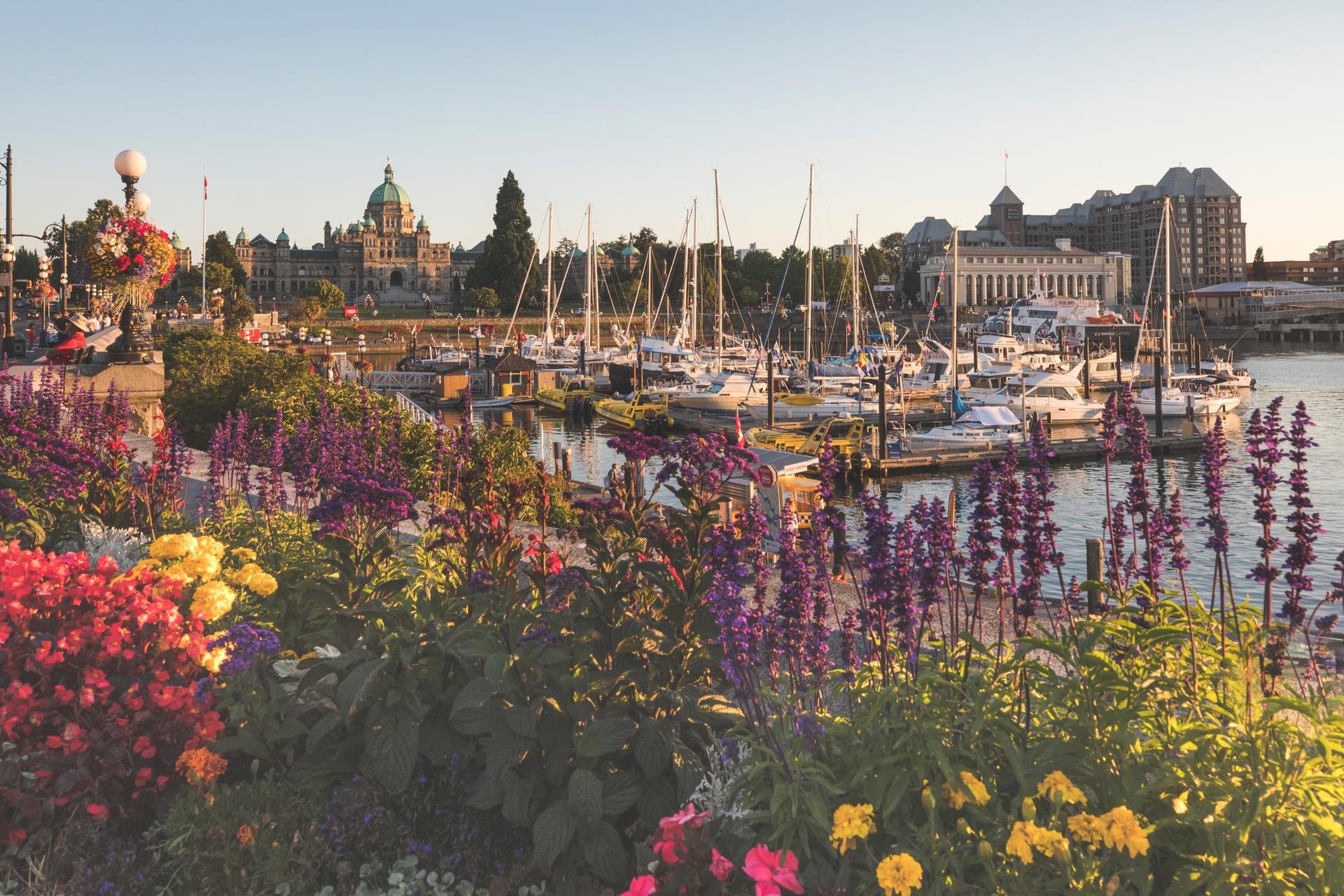 Victoria's Inner Harbour in bloom at springtime