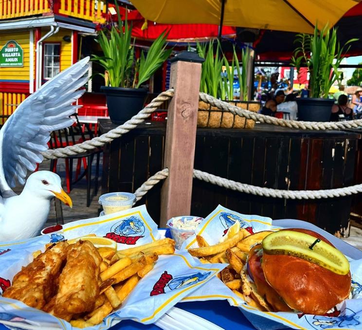 A seagull looks over a fish and chips at Barb's Fish & Chips in Victoria, BC