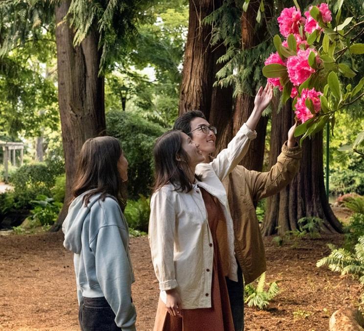 A family looks at the flowers in Beacon Hill Park in Victoria, BC