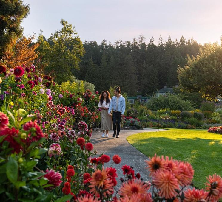 A couple walks along a pathway in fall at The Butchart Gardens in Victoria, BC