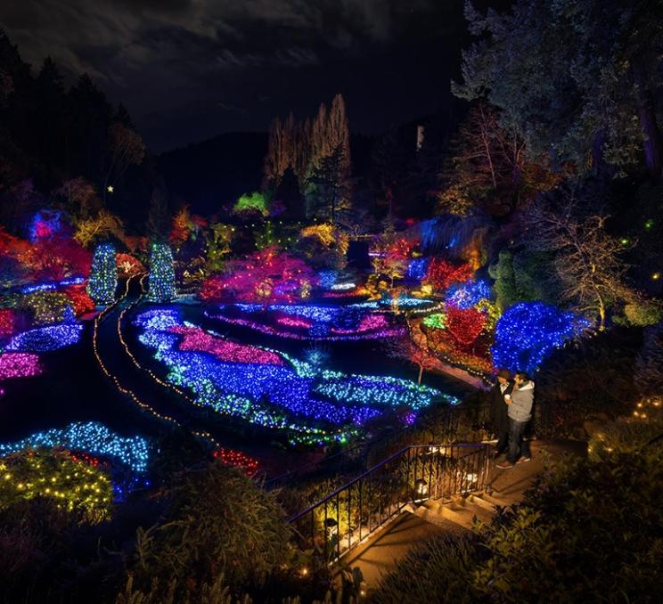 A christmas lightshow at The Butchart Gardens in Victoria, BC