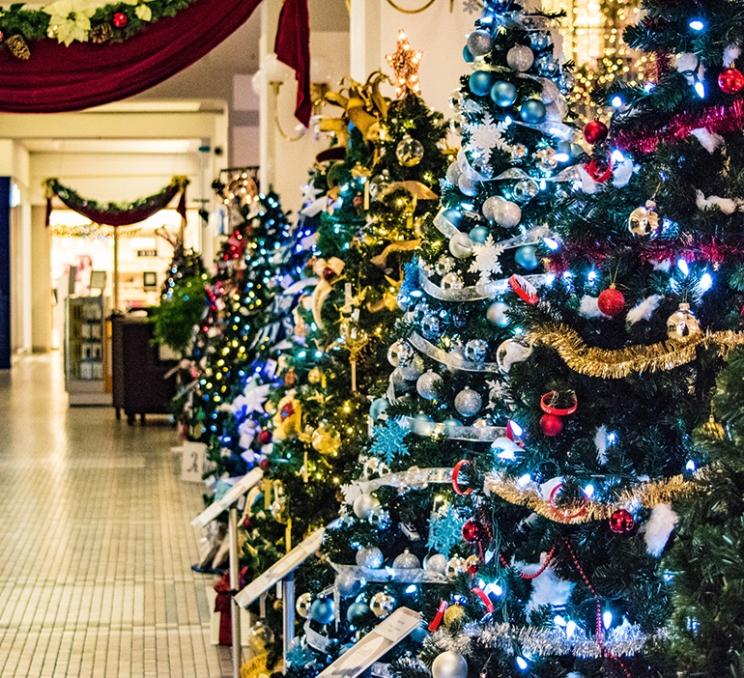 Christmas trees in a row at the Festival of Trees in Victoria, BC