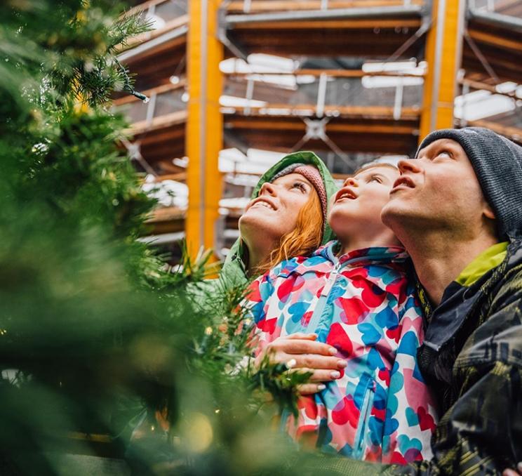 A family looks at a Christmas tree at Malahat SkyWalk in Victoria, BC