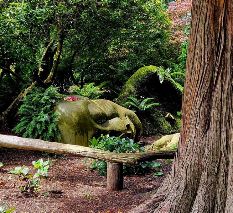 The Moss Lady at Beacon Hill Park in Victoria, BC