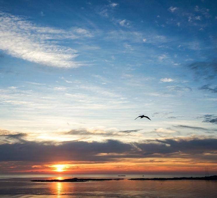 A sunrise over Oak Bay a neighbourhood in Victoria, BC