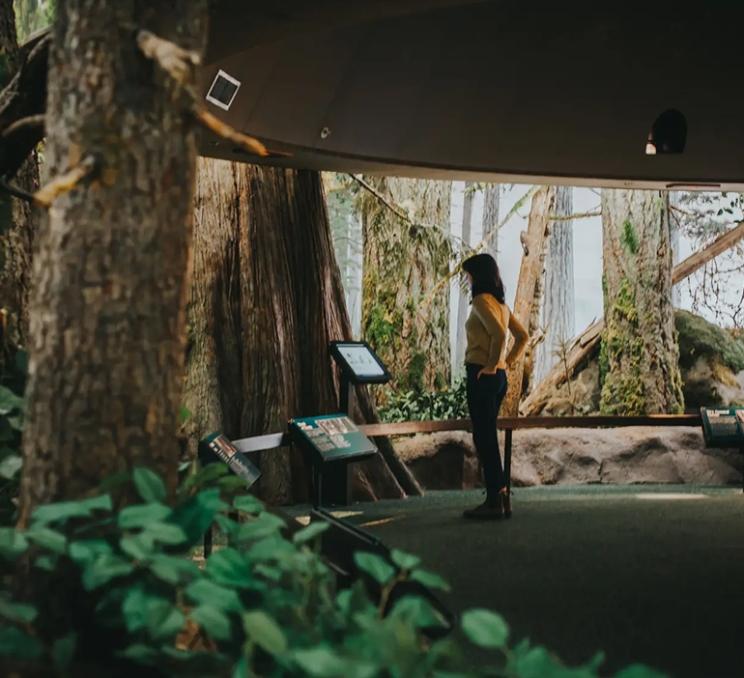 A woman explores the Royal BC Museum in Victoria, BC