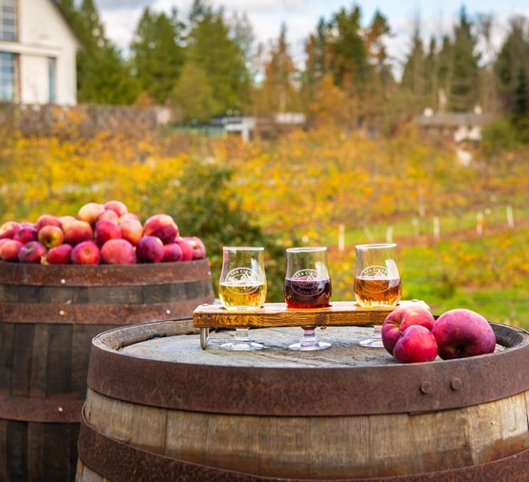 A flight of cider sits among apple at Sea Cider Farm & Ciderhouse in Victoria, BC