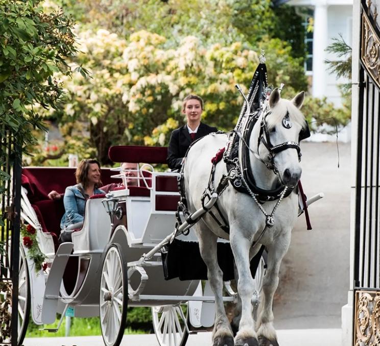 A horse drawn carriage tour through Victoria, BC, with Tally-Ho Carriage Tours in Victoria, BC