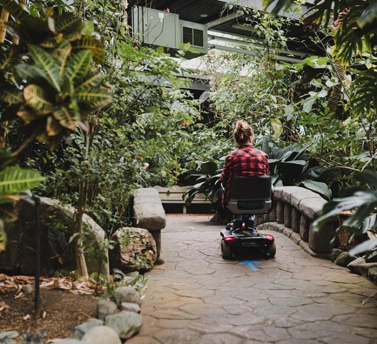 A woman in a mobility scooter explores the Victoria Butterfly Gardens in Victoria, BC