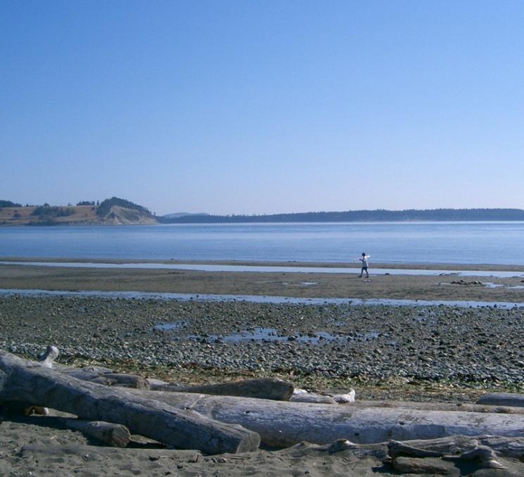 A view from the shoreline of Island View Beach Regional Park in Victoria, BC