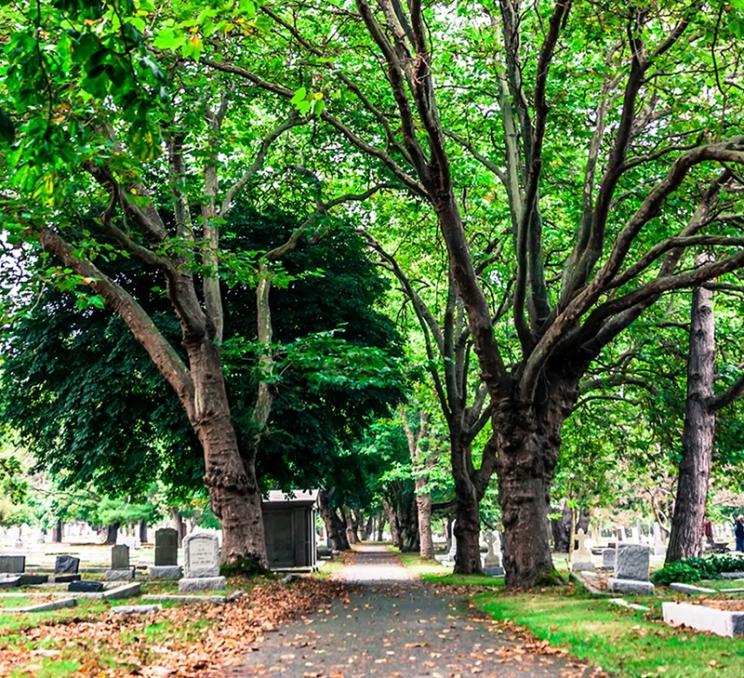 A pathway through Ross Bay Cemetery in Victoria, BC