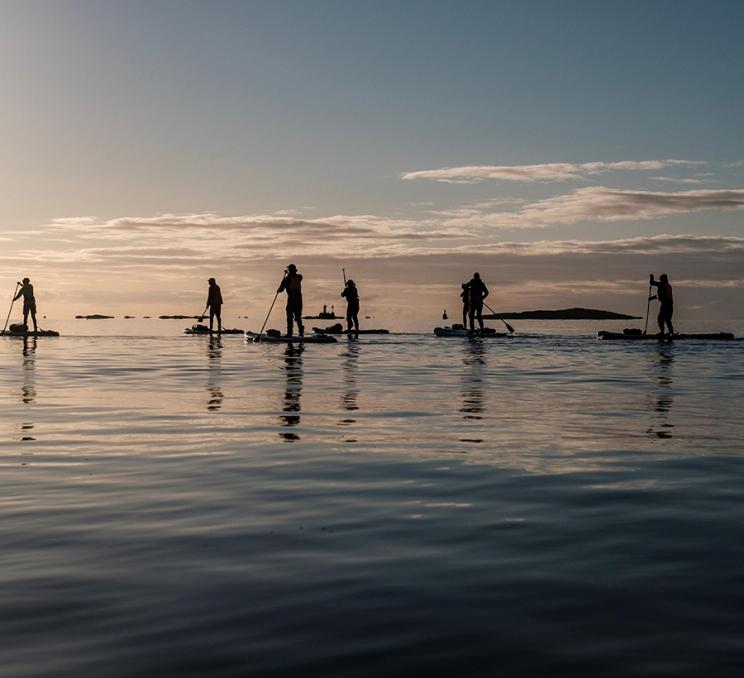 A group of stand up paddleboarders enjoy a sunrise paddle on the Salish Sea off the coast of Victoria, BC