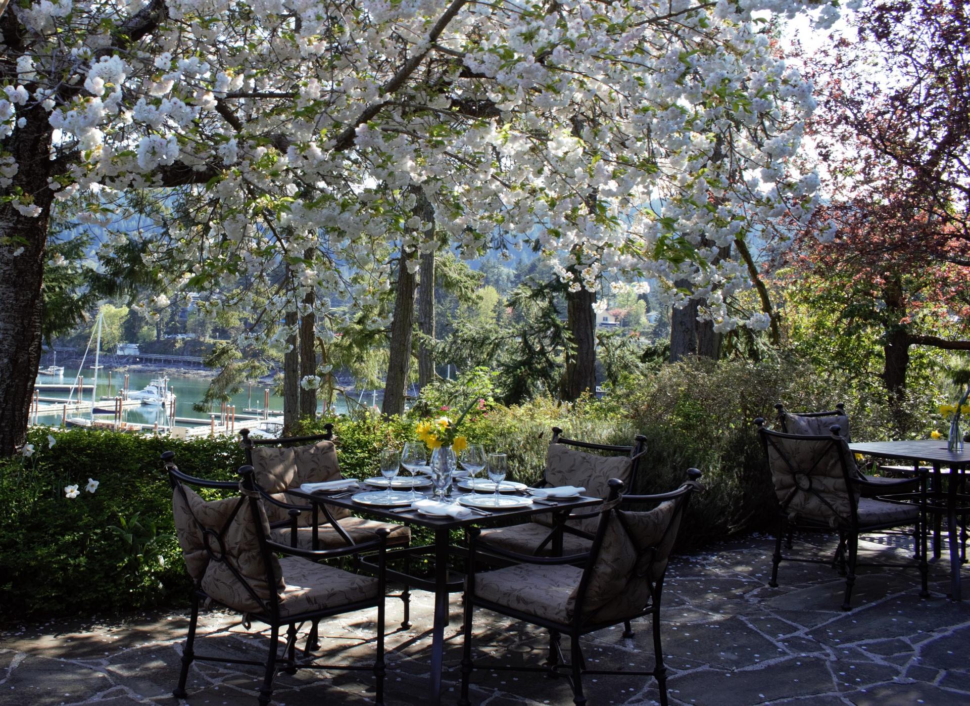 The lovely seaside terrace at Hastings House.