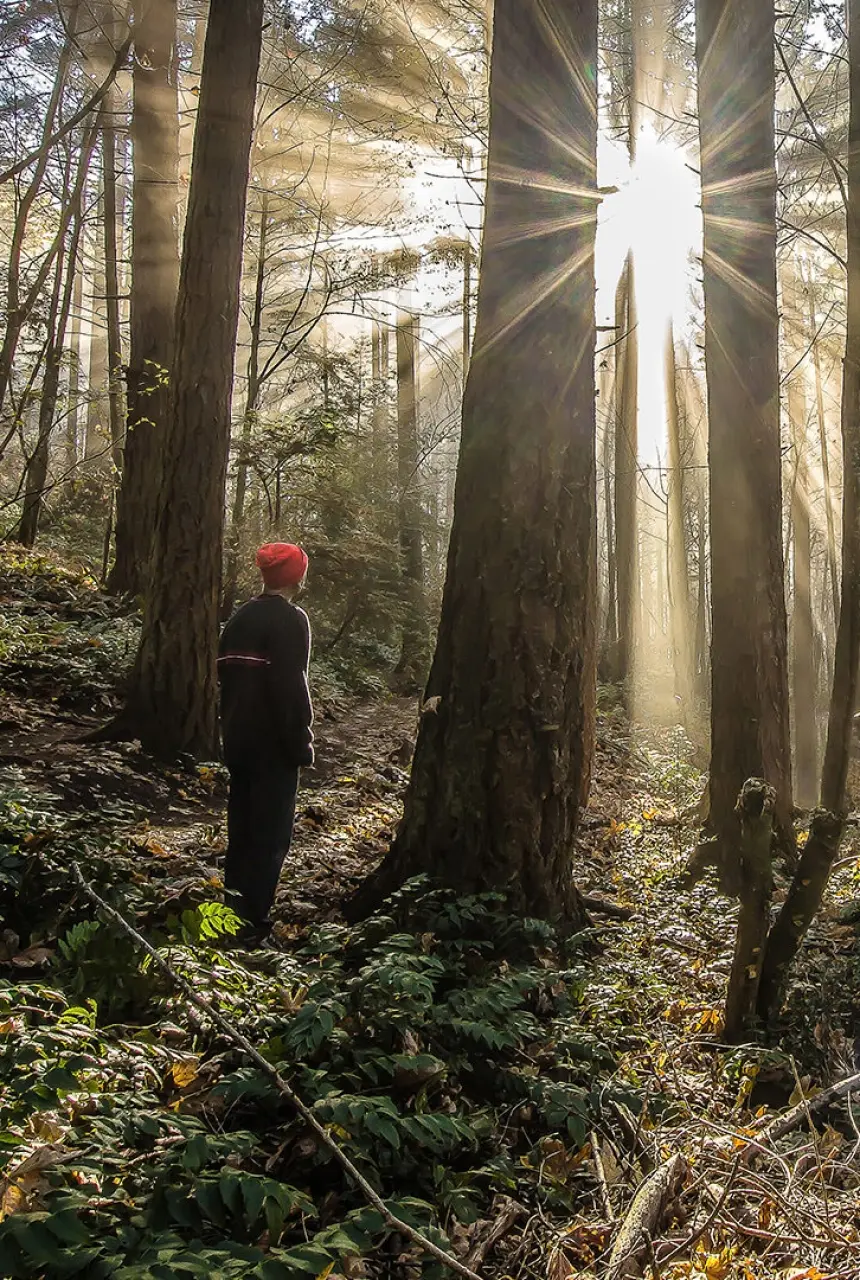 A man with an orange hat standing in the woods at sunset
