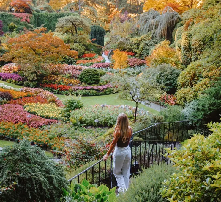 A woman looks out at the Sunken Garden at The Butchart Gardens in Victoria, BC
