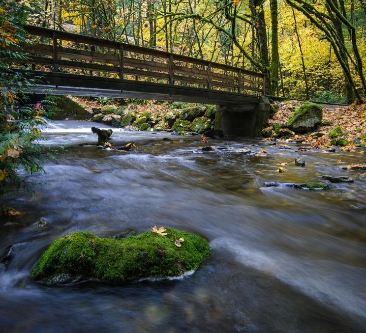 A river runs underneath a bridge through Goldstream Provincial Park in Victoria, BC